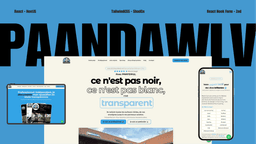 Optimisation Leads : Le succès digital de Paandaw LV